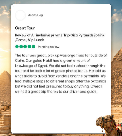 Reviews 13