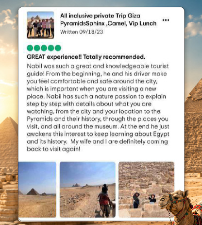 Reviews 14