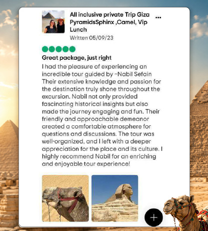 Reviews 15