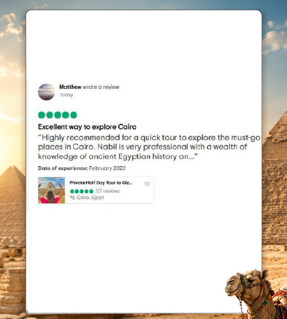 Reviews 20