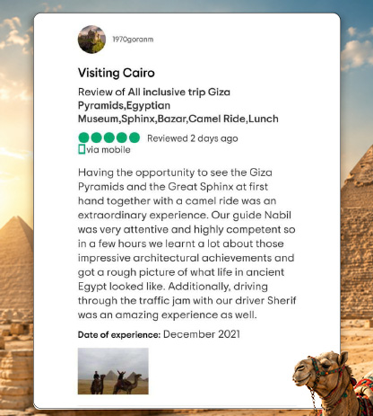 Reviews 25