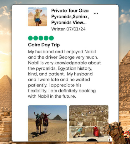 Reviews 6