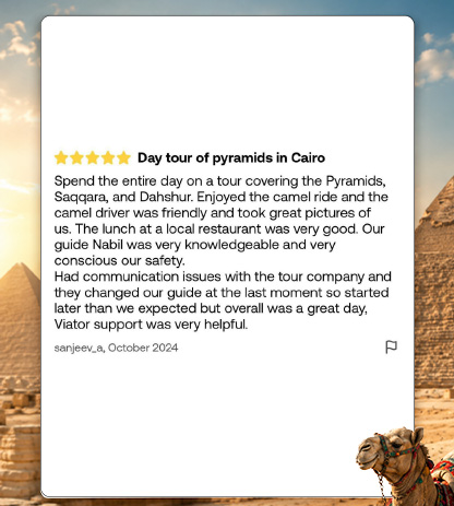 Reviews 8